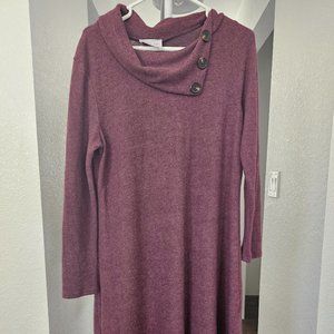 Burgundy Sweater Dress